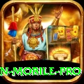 PKWin Mobile Pro